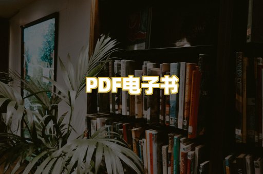 PDF电子书